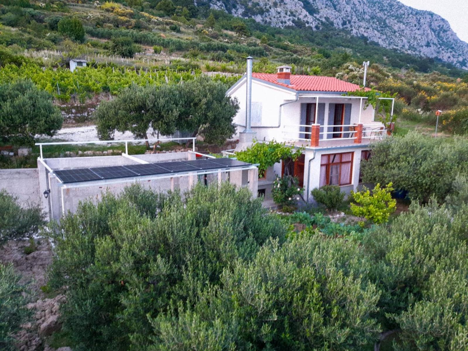 Holiday Home Betty Jesenice  Zewnętrze zdjęcie